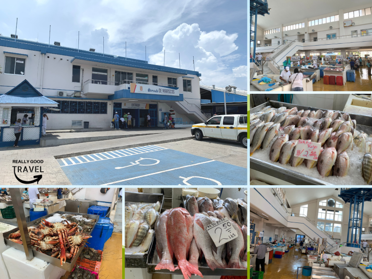 1440x1080 REALLY GOOD TRAVEL PICS (8)